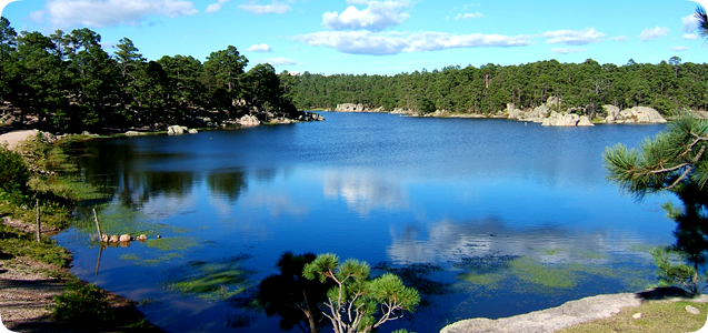 San Juanito