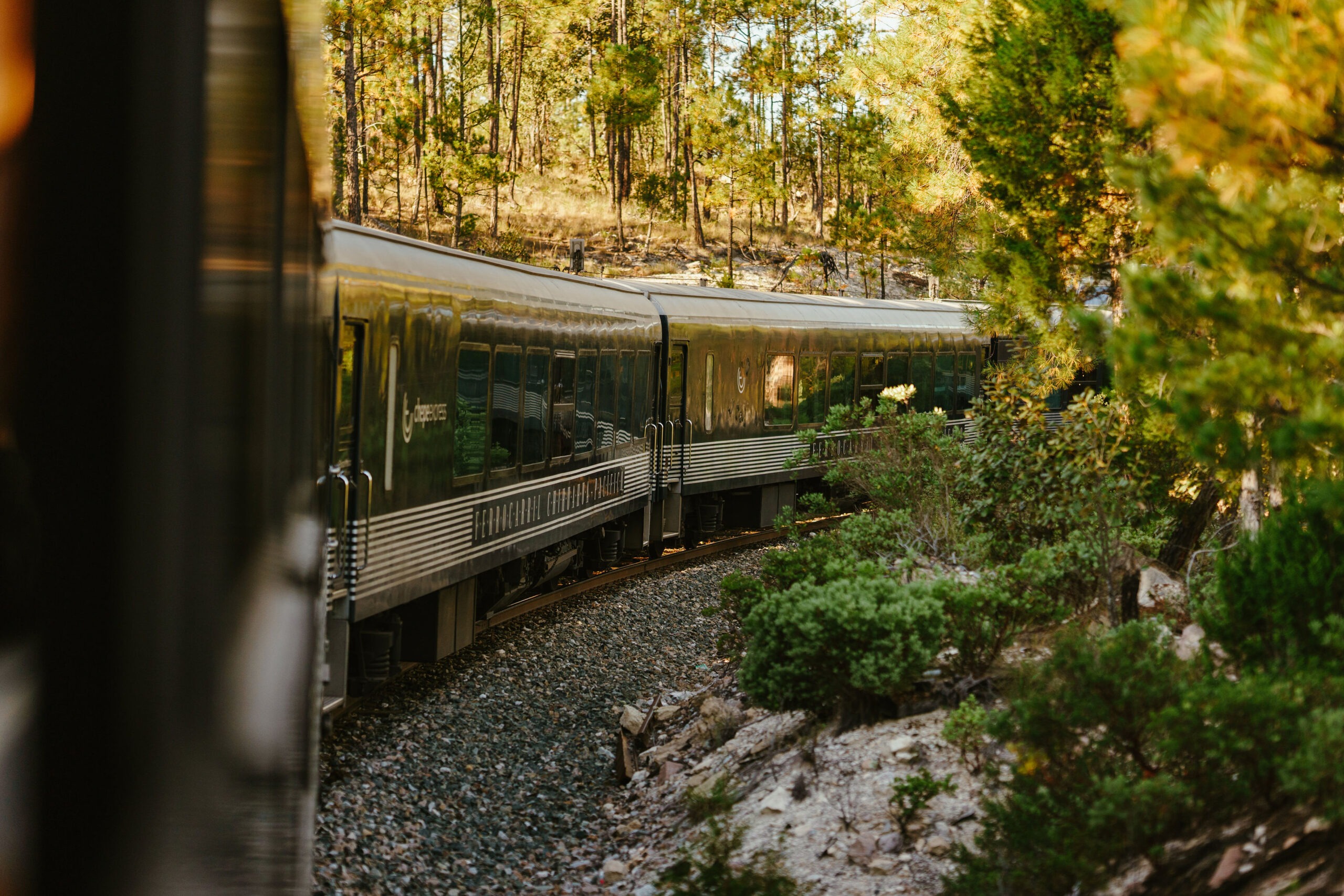 Vista lateral del Tren Chepe Express