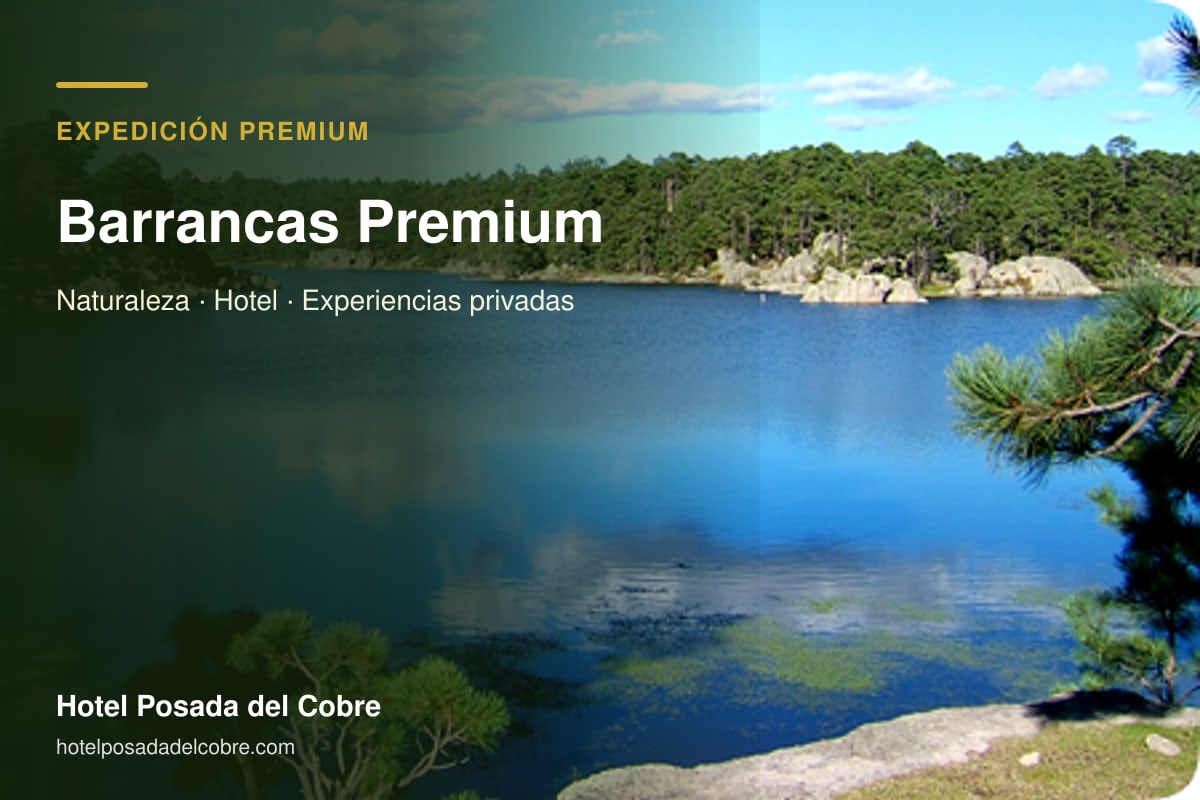 Paquete Premium a Barrancas del Cobre con Lago Arareko, hotel y tours
