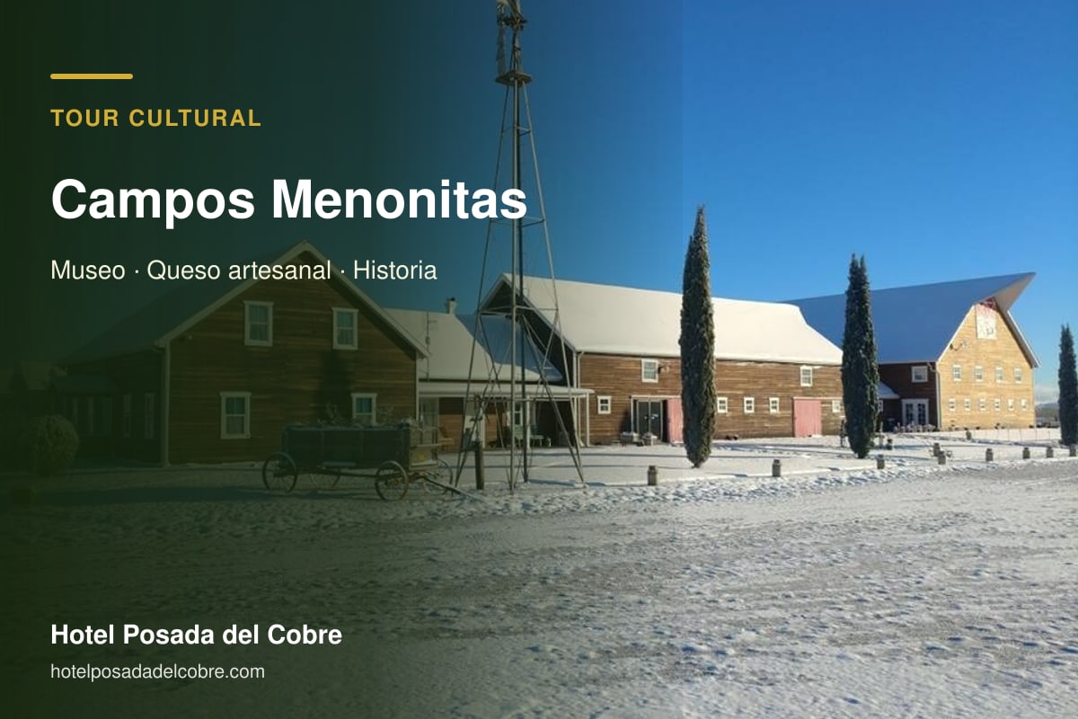 Tour Campos Menonitas desde Creel y Chihuahua con museo y queso artesanal